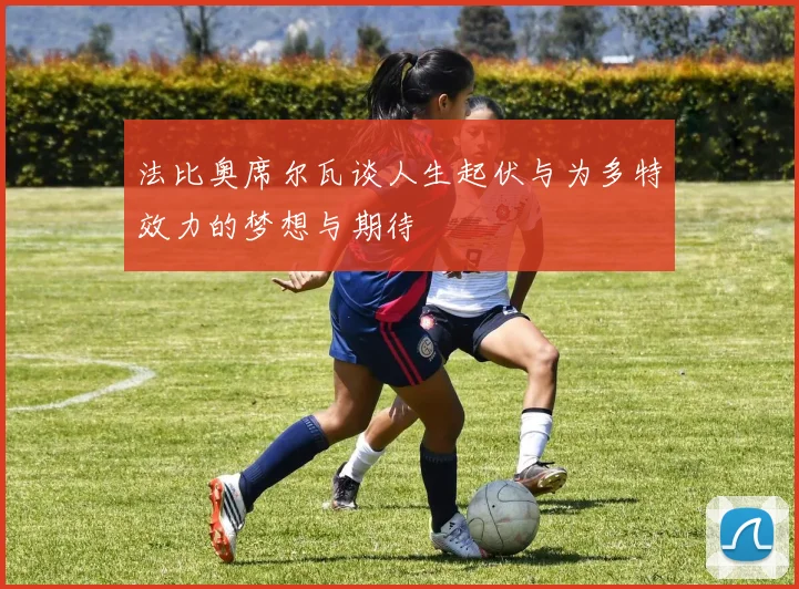 法比奥席尔瓦谈人生起伏与为多特效力的梦想与期待